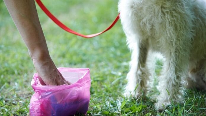 cani-cacca-parco-2 carugate