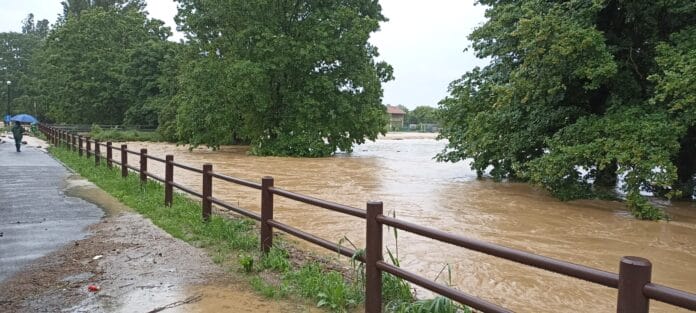 GESSATE lungo Trobbia