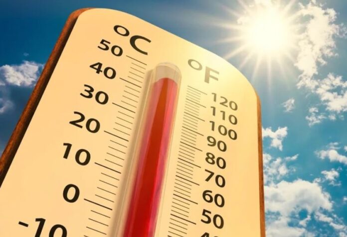 A SEGRATE EMERGENZA ESTATE emergenza estate