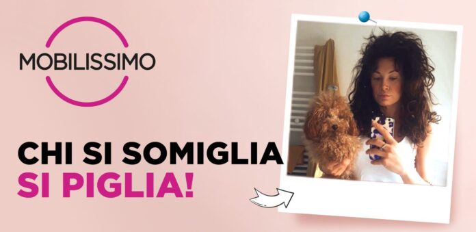 img_contest calendario mobilissimo 2025