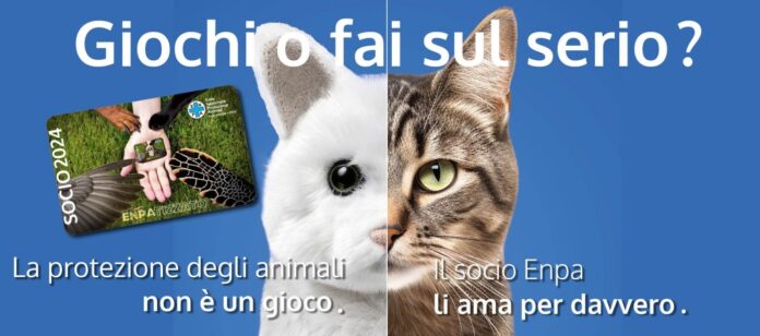 slide-show-hp-socio-2024-indd3-1-scaled campagna antiabbandono 2024