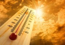 Emergenza caldo: consigli utili per l’estate emergenza caldo