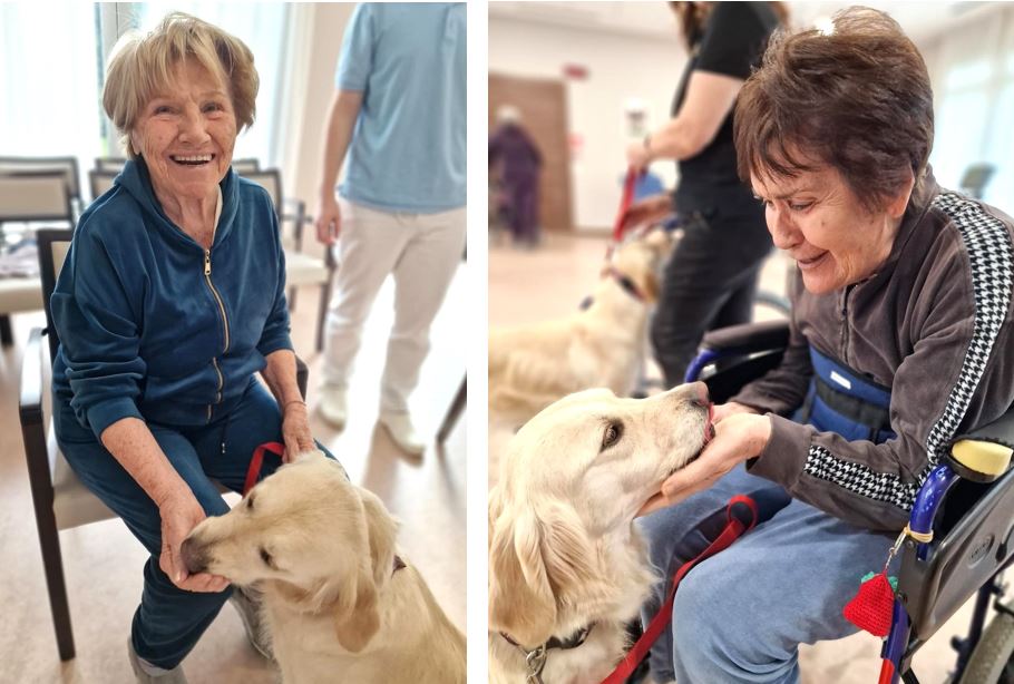 giornata mondiale del cane