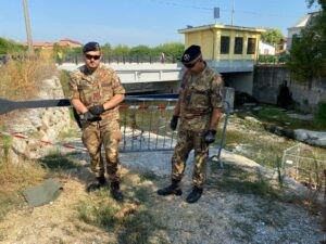 GORGONZOLA GRANATA (1) granata