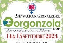 É tutto pronto per la 24esima Sagra nazionale del gorgonzola DOP sagra nazionale del gorgonzola