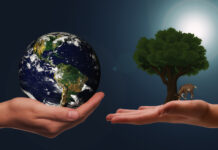 “IndicaMi” per combattere l’impatto della crisi climatica a Melzo e a Gorgonzola indicami